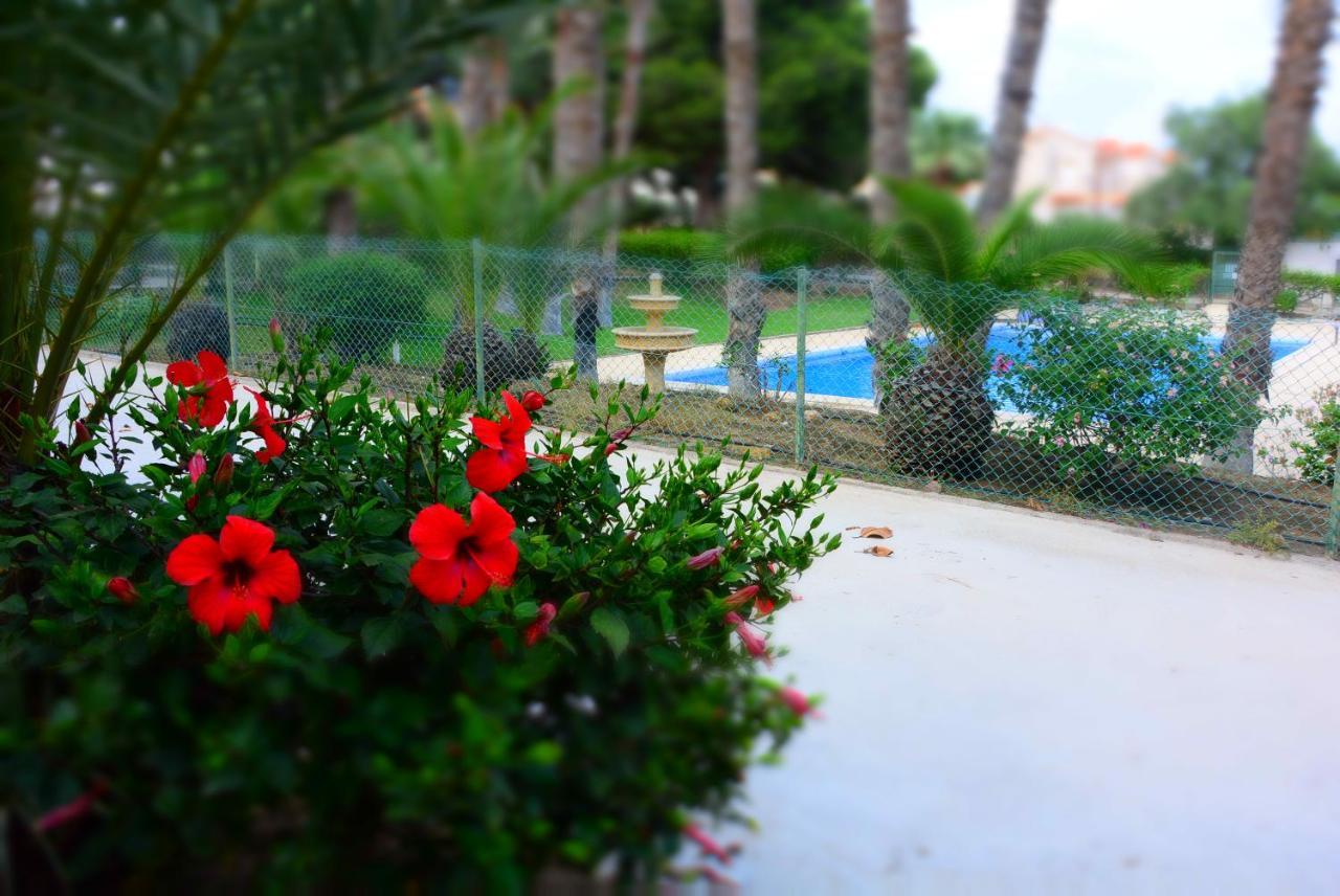 Palmeras, Piscina, Campo De Futbol Y Jardin Privados Mazarron Bagian luar foto