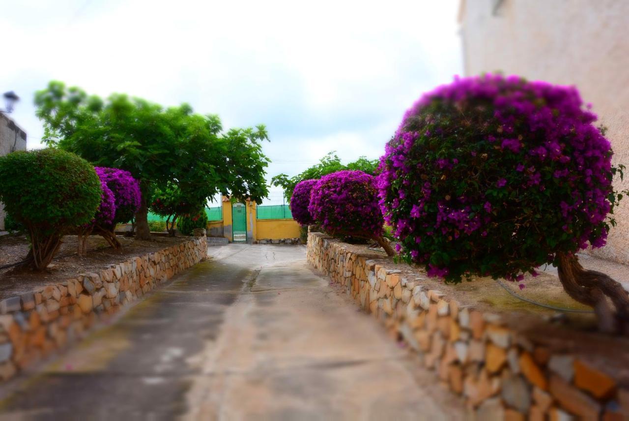 Palmeras, Piscina, Campo De Futbol Y Jardin Privados Mazarron Bagian luar foto