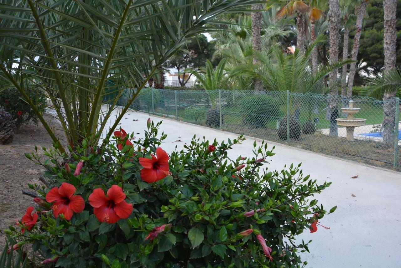 Palmeras, Piscina, Campo De Futbol Y Jardin Privados Mazarron Bagian luar foto