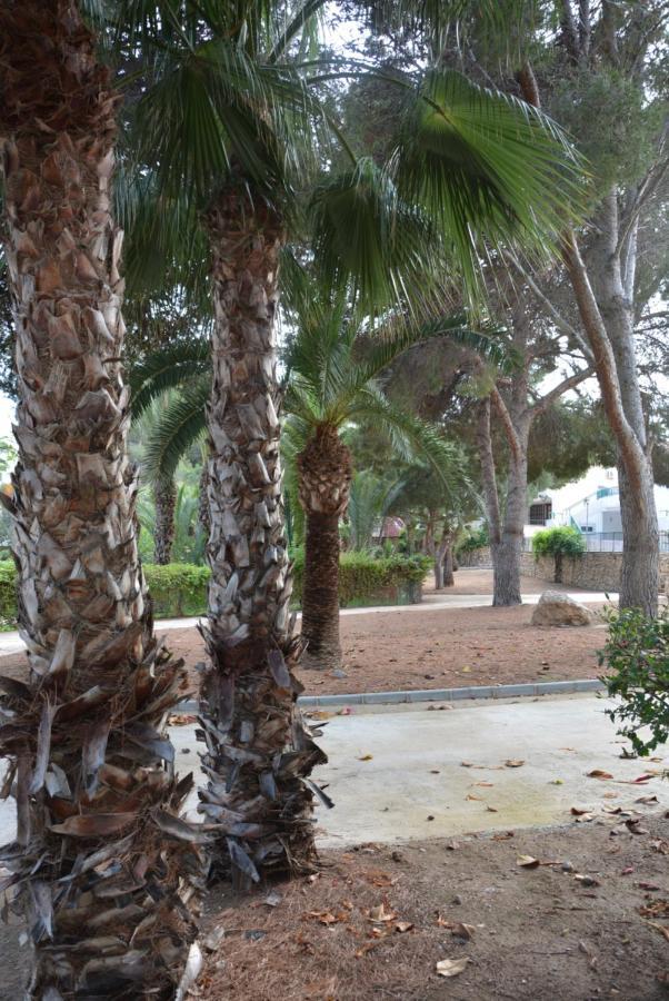 Palmeras, Piscina, Campo De Futbol Y Jardin Privados Mazarron Bagian luar foto