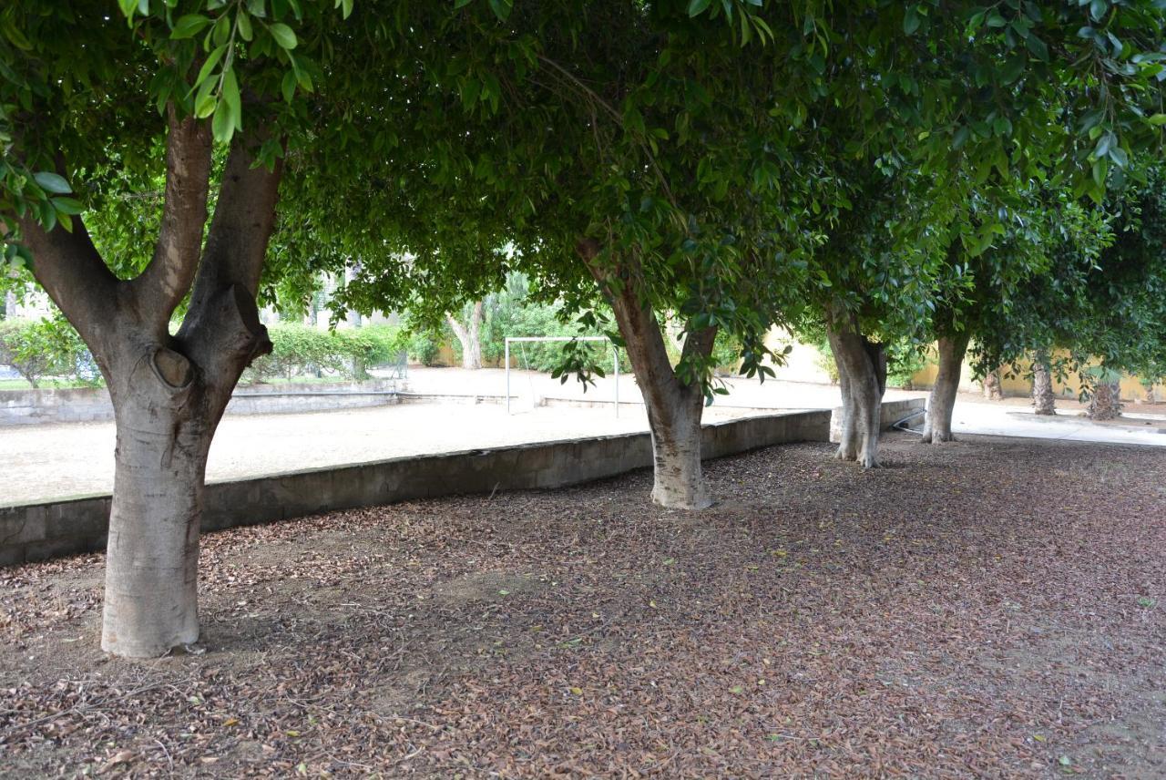 Palmeras, Piscina, Campo De Futbol Y Jardin Privados Mazarron Bagian luar foto