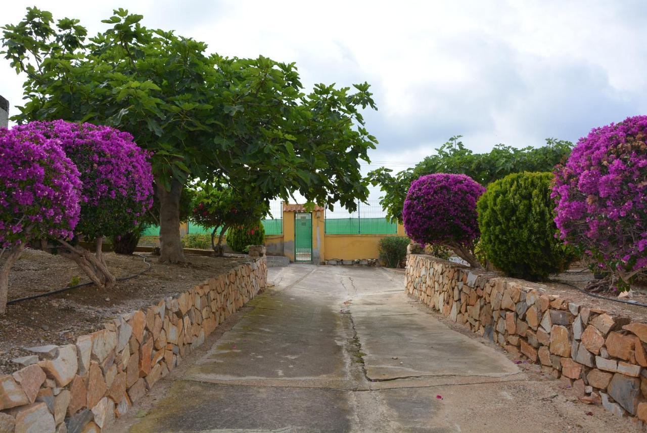 Palmeras, Piscina, Campo De Futbol Y Jardin Privados Mazarron Bagian luar foto